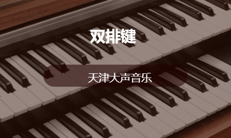 双排键课程培训